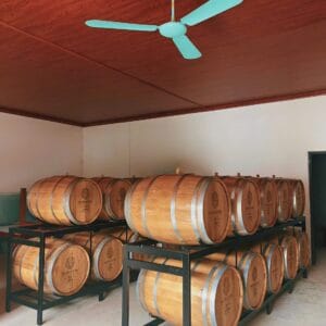 Thùng Rượu Gỗ Sồi 200L